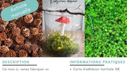 Fabrication d’ un photophore