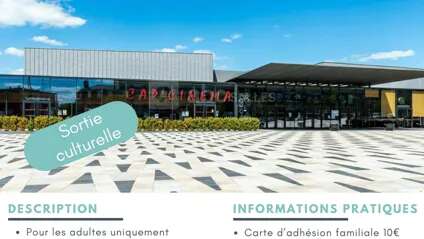 Sortie culturelle : cinéma