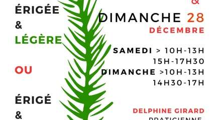 Stage méthode Feldenkrais : Erigé·e et léger·ère en fin d'année