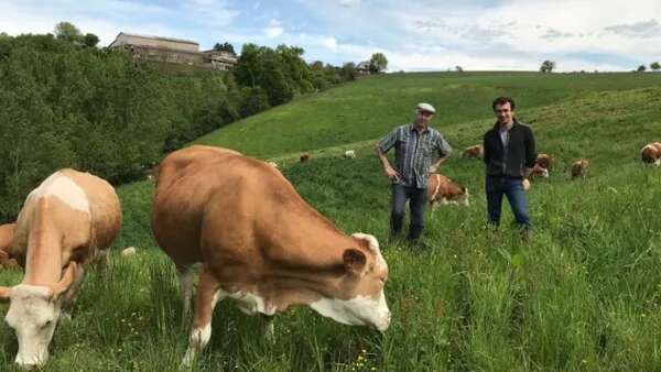 Visite de la Ferme de Gandalou