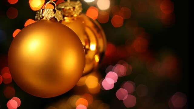 Manège et chalets gourmands place Louis XII