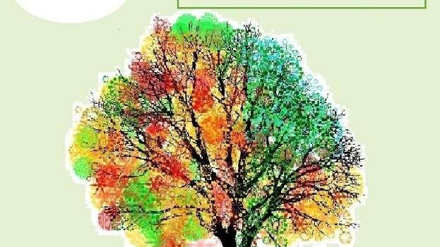 Stage : Sophrologie et Pleine Conscience