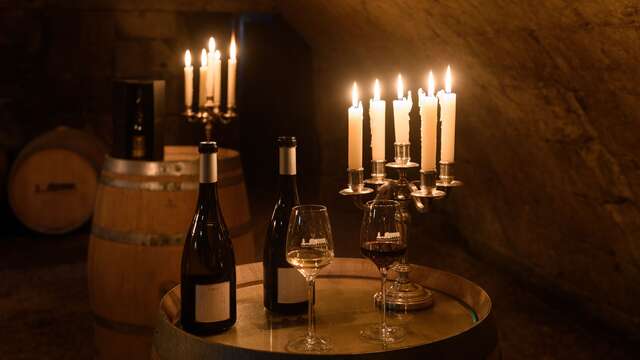 Dégustation en accords mets et vins