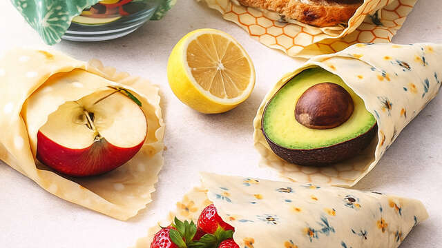 Les mercredis de la Loire : déchets, pollinisateurs et boules à graines