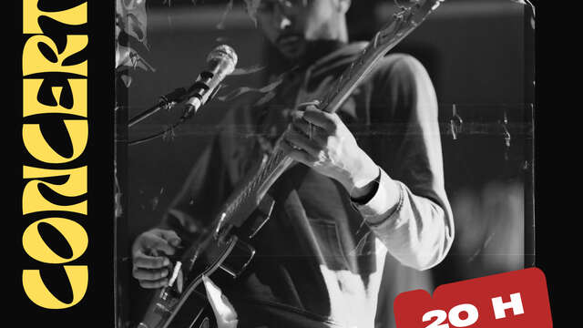 Concert BLUES BRAKER