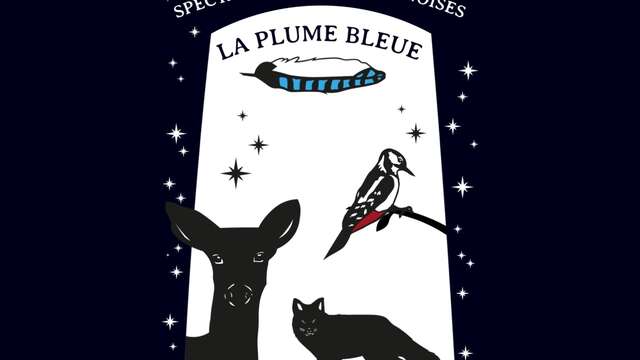 Spectacle d’ombres chinoises : La plume bleue