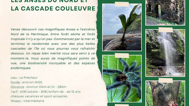 Randonnée Anses Couleuvre / Grand Rivière (Rando A2Pas)