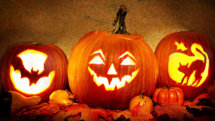Atelier citrouilles d'Halloween
