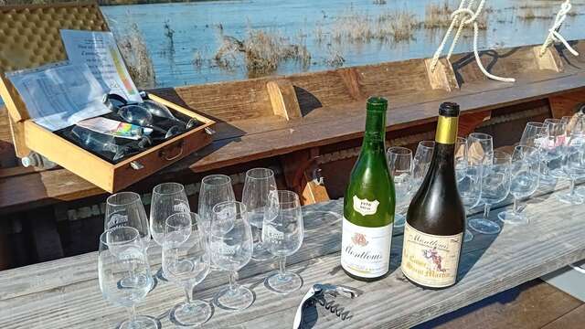 Balade et découvertes gastronomiques autour des vins de Loire