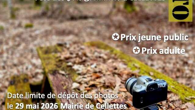 Concours photos : l'arbre et la forêt