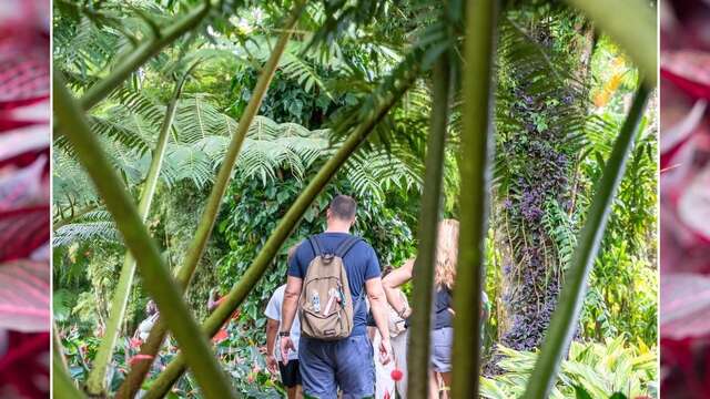 Programme de Pâques (Le jardin de Balata)