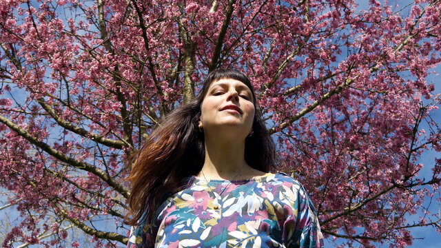 Mesparrow – slow live