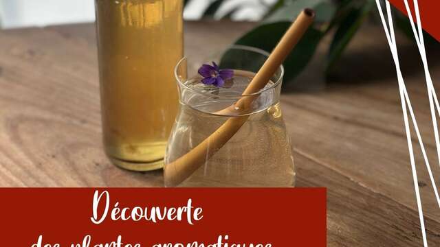 Atelier ENFANT A la découverte de nos plantes artomatiques