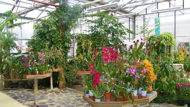 Portes ouvertes à l'Orchidium