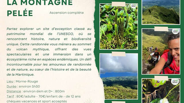 Randonnée La Montagne Pelée - Ascension complète (Rando A2Pas)