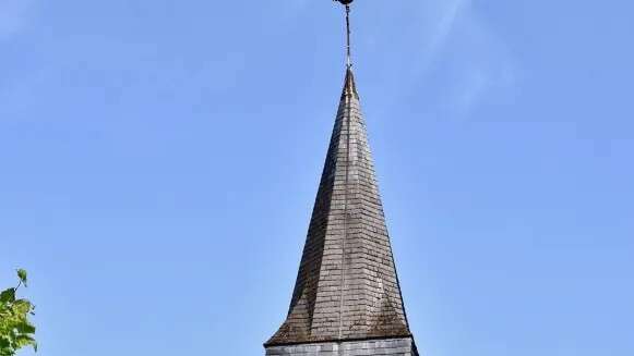 Rando Monthou-sur-Bièvre - Les vignobles