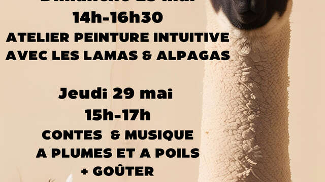 Atelier peinture intuitive avec les lamas & alpagas