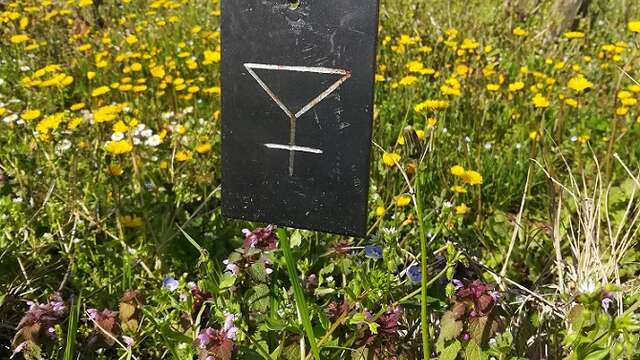 La Chasse au Trésor "A la Recherche de la Cuvée Perdue"