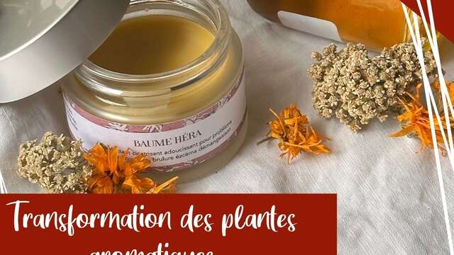 Atelier Transformation de vos plantes aromatiques