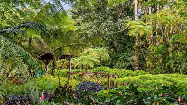 Programme d'Aout (Le jardin de Balata)