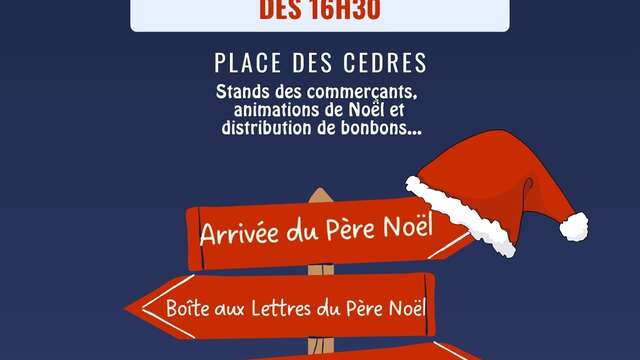 Feu d'artifice de Noël