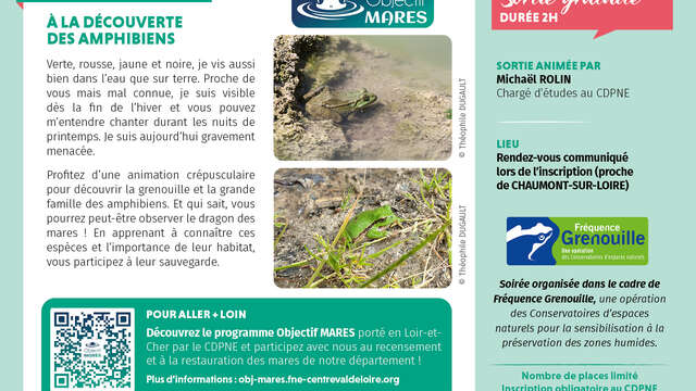A la découverte des amphibiens