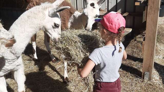 Atelier petit-soigneur
