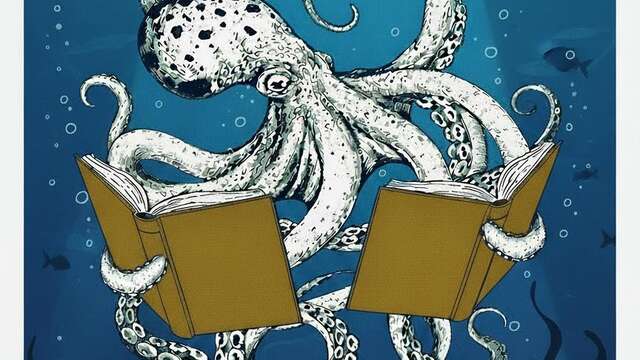 Festival du livre de Belle Ile en Mer