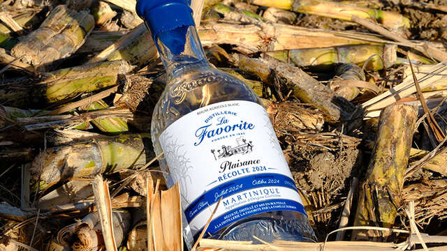 Rhums Distillerie La Favorite
