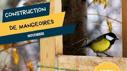 Construction de mangeoire à oiseaux