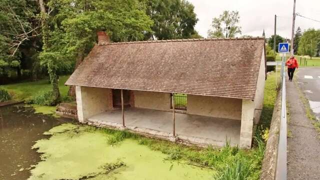 Entre forêt et Beuvron de Seur