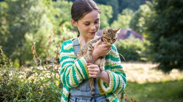 Cinéma en plein air : Mon chat et moi, la grande aventure de Rroû