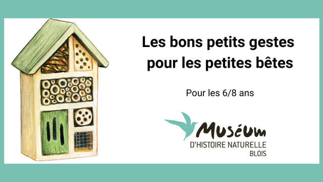 Atelier « Les bons petits gestes pour les petites bêtes »
