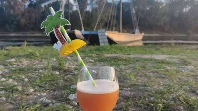 Soirée Cocktail en Loire