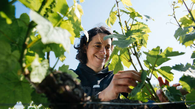 L'Immersion Vigneronne, entre Terroirs et Cépages