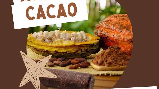 Visite + Atelier Cacao (Kaz à Vanille)
