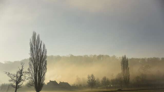 Exposition photographies : Présences