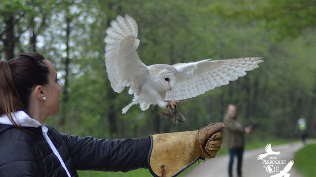 Mon Perroquet et Cie