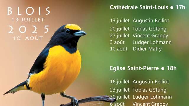 Festival d'été Jeux d'Orgue 41