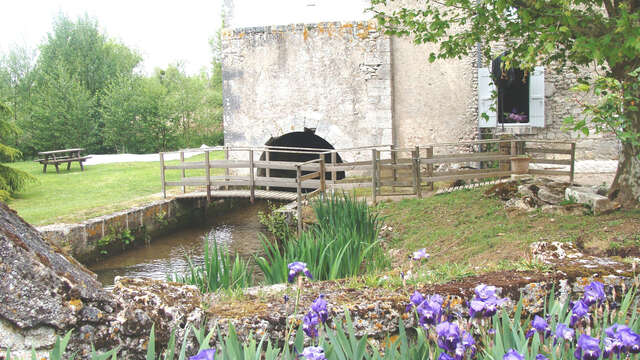 Le moulin de d'Arrivay