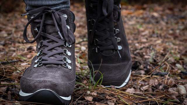 Randonnée pédestre