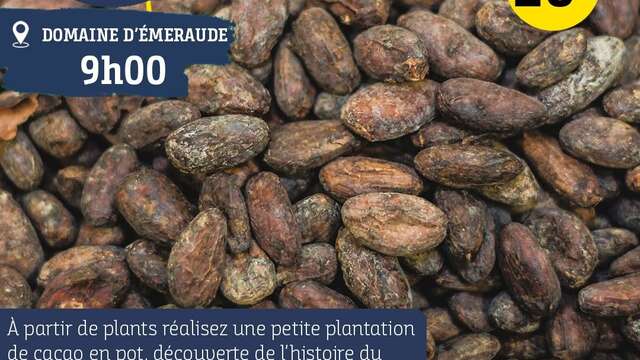 Atelier Cacao (Domaine de l'Emeraude)