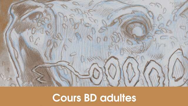 Cours BD adultes