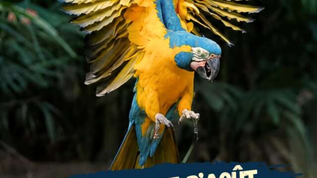 Programme d'Aout (Zoo de Martinique)