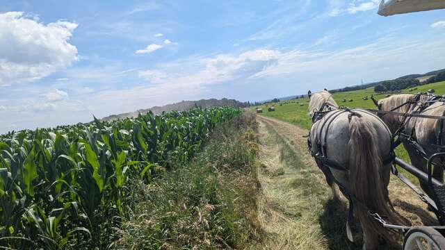 Les Calèches de l'Aunette
