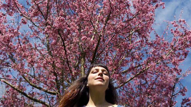 Mesparrow – slow live