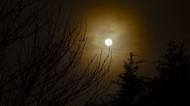 Exposition L'instant