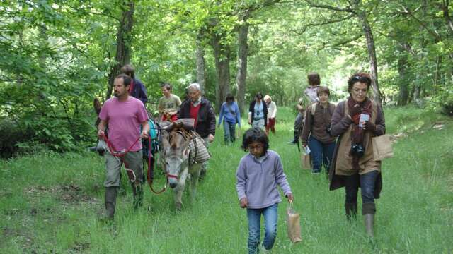Portes ouvertes Les ânes de Madame