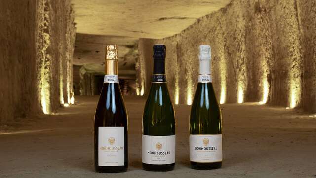 Découverte des Vins de Loire