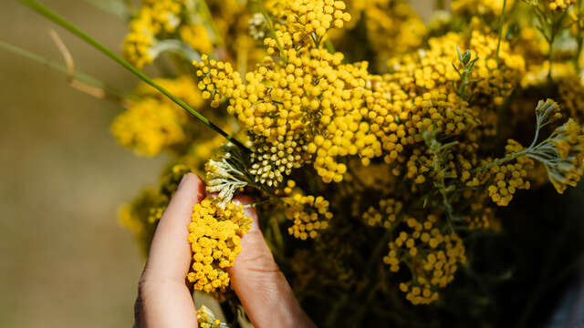 Atelier Rituels Bienfaisants avec Sibylle Naturopathe